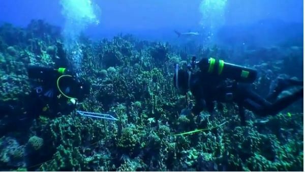 Expedición a Salas y Gómez, Oceana y National Geographic