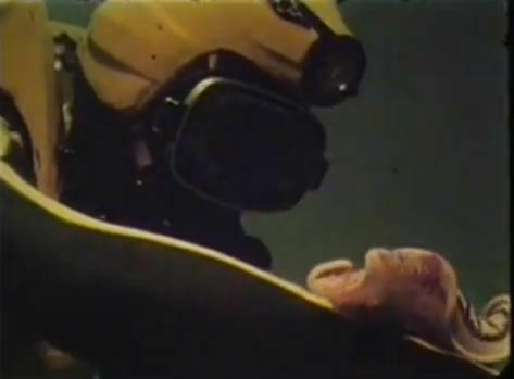 Jacques Cousteau Stars in an Undersea Music Video – 24/5/13