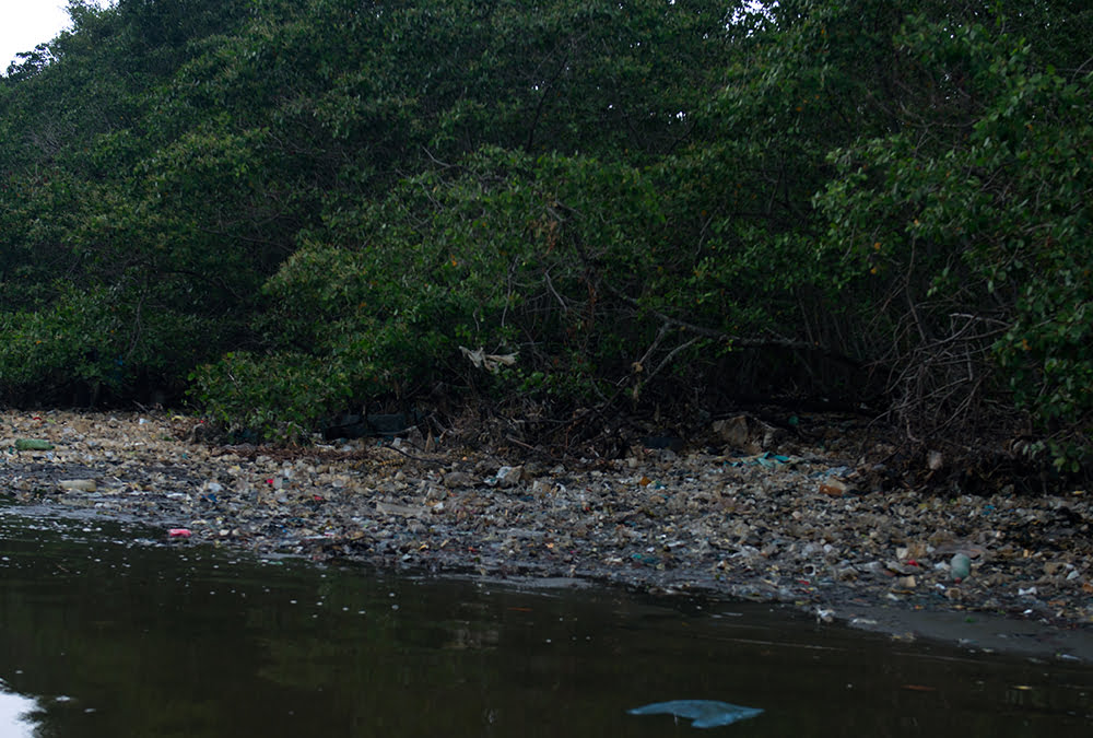  imagem de manguezal poluído na baía de guanabara