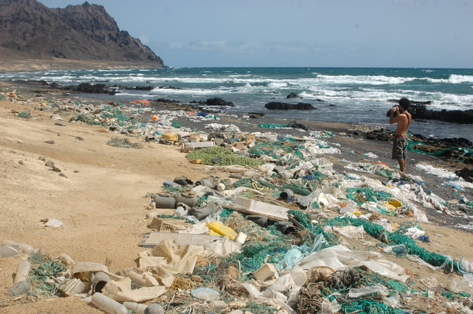 imagem de praia repleta de plásticos