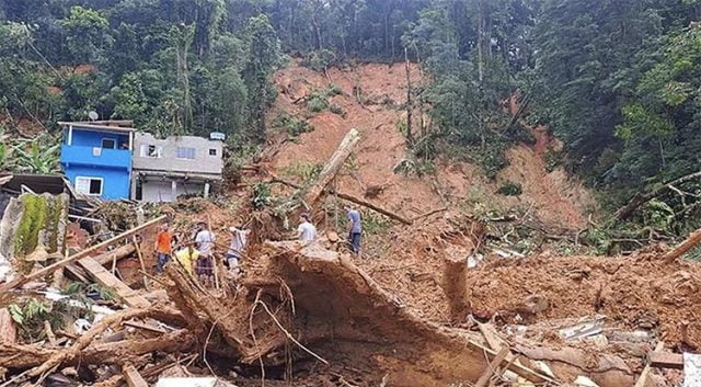 Recupera O Da Serra Do Mar Ajuda Da Sociedade Mar Sem Fim