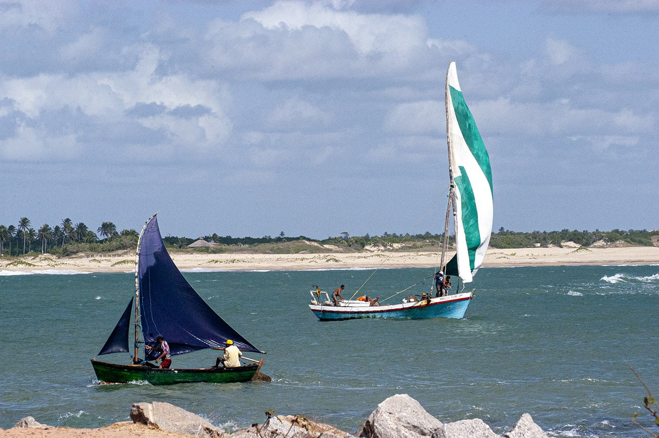 imagem de bote-bastardo no litoral do Ceará