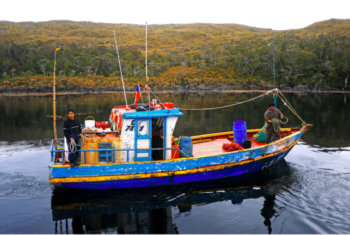 Viagem à Antártica: Punta Arenas - Puerto Natales - Ushuaia, imagem de um barco de pesca chileno