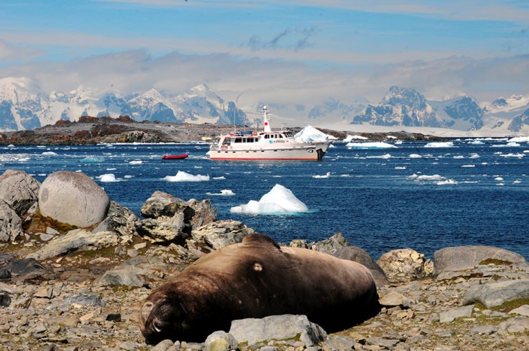Viagem à Antártica, das Ilhas Argentinas até a Ilha Trinity, imagem do Mar Sem Fim na Antártica
