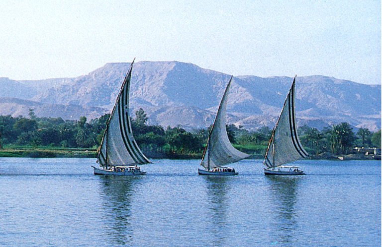 imagem de fleumas no Nilo