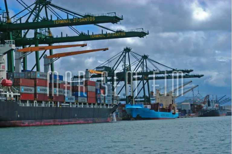 Portos privados, imagem do porto de Santos