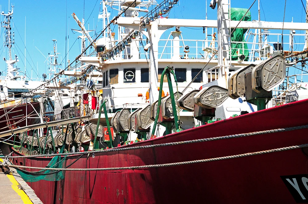 Pesqueiros na costa da Argentina, imagem de enorme navio pesqueiro de lula argentina