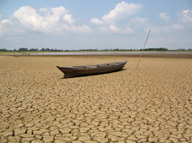 Amazônia pode perder 70% de sua área, imagem de seca na amazônia