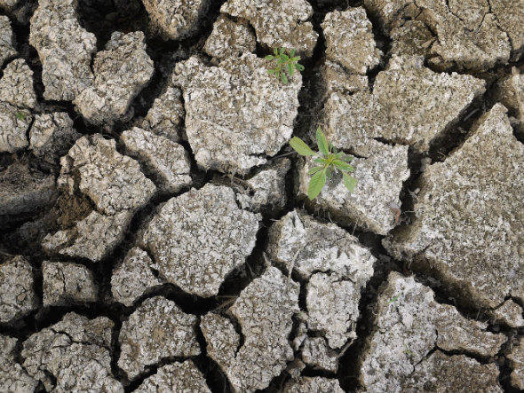 Mudanças climáticas no Brasil devem trazer prejuízo e pobreza, imagem de chão ressecado