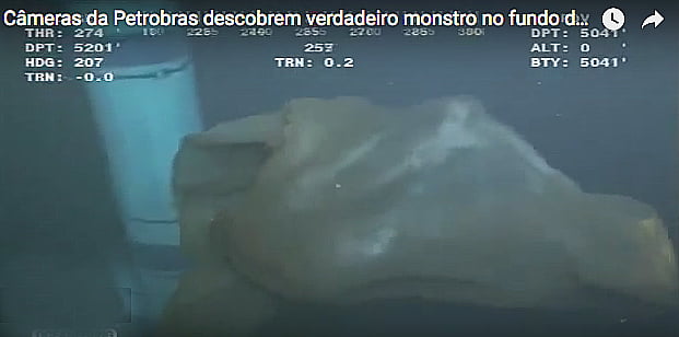 Monstro marinho, água-viva gigante, ou placenta de baleia?, imagem de placenta de baleia
