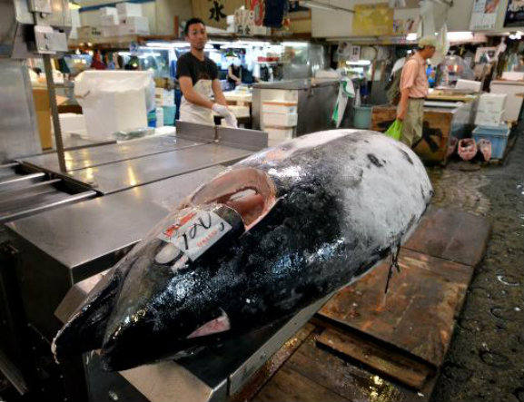 Cotas de pesca de atum vermelho no Mediterrâneo são mantidas, imagem de atum no mercado de tokio