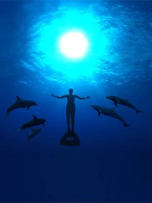 caça de golfinhos no Japão, Cena do documentário 'The cove', sobre a caça de golfinhos no Japão. (Foto: Divulgação)