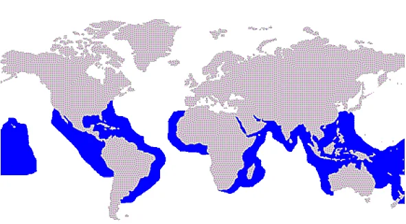 ilustração de mapa mundi mostra onde vivem o tubarão tigre