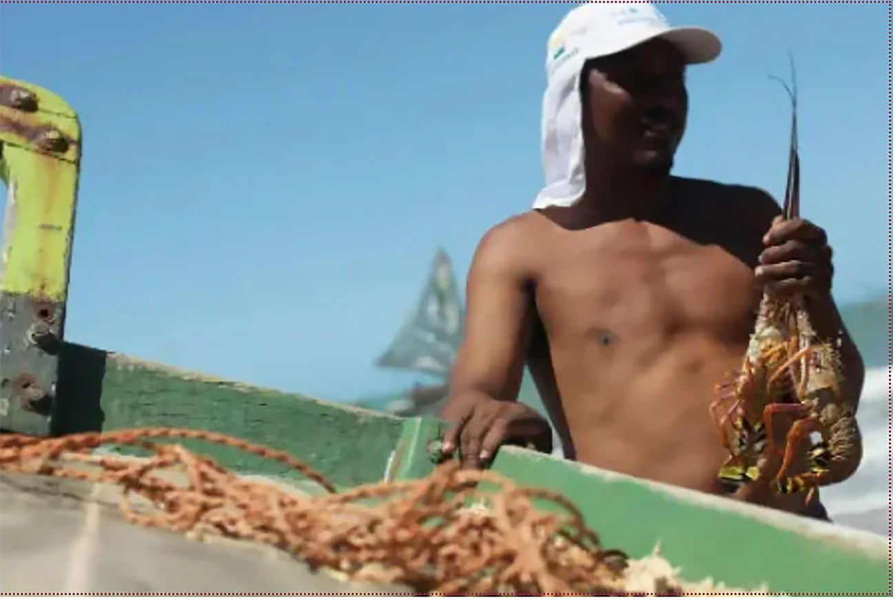 Imagem de pescador com lagosta na mão