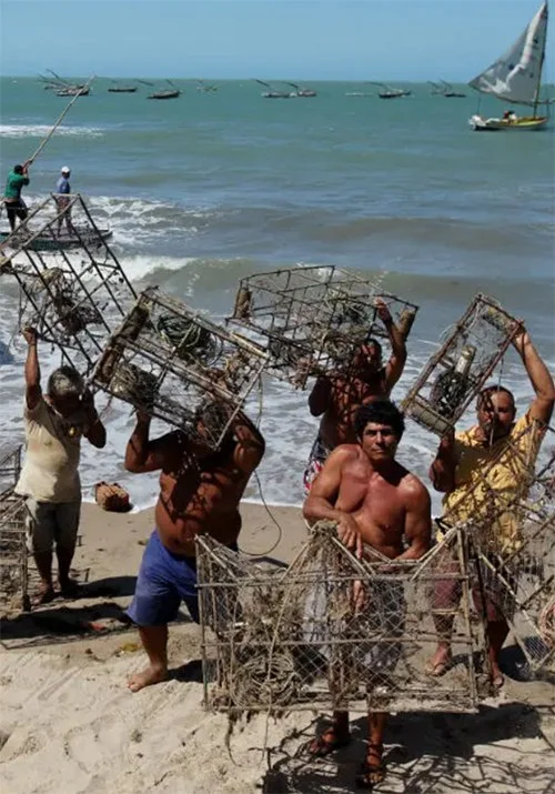 Imagem de pescadores de lagostas o Ceará