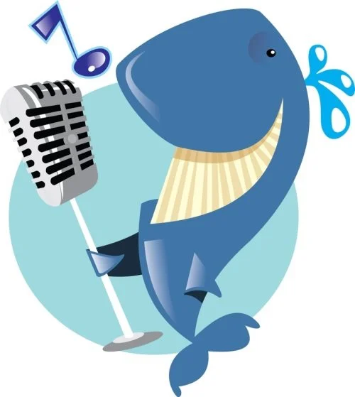 cantoras, fatos estranhos sobre as baleias