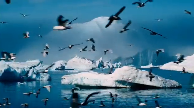 Acidificação dos Oceanos, Paisagem da Antártica com pássaros e icebers