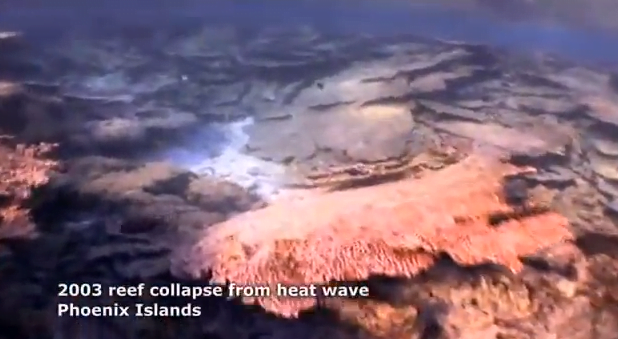 Acidificação dos Oceanos, Cena submarina de recifes de corais mortos em Phoenix Islands 