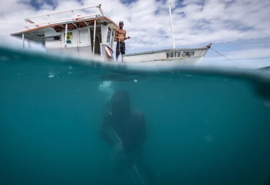 pesca com arpão e compressor em Abrolhos, imagem de Pescador cai na água com arpão para iniciar um mergulho 