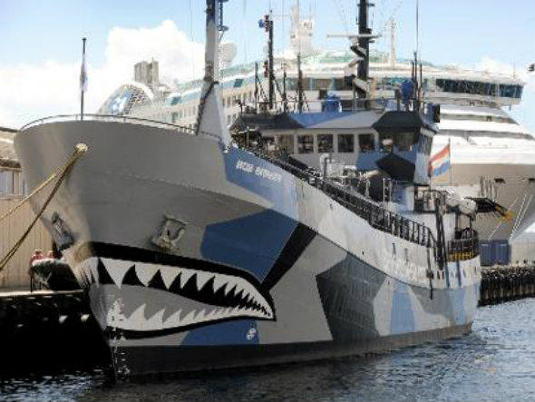 Japão pede medidas contra navio da ONG Sea Shepherd, imagem do navio Bob Barker, da organização ambientalista Sea Shepherd