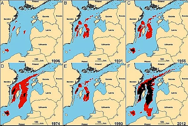 zonas mortas no mar, mapa da zona morta no mar Báltico