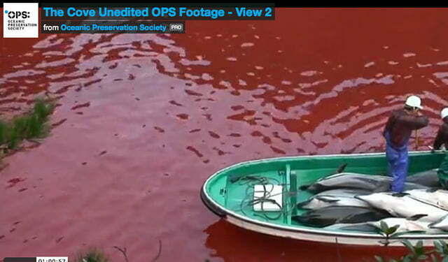 Imagem do documentário The Cove sobre matança de golfinhos no japão.
