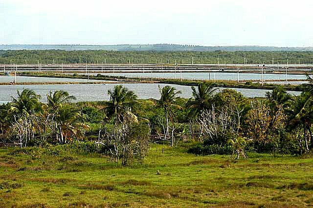 Índice de Saúde do Oceano , imagem da carcinicultura na barra do rio Cunhaú, Rio Grande do Norte.