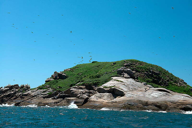 imagem da Reserva Biológica Marinha do Arvoredo, em Santa Catarina