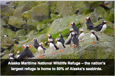 Áreas marinhas protegidas nos USA, imagem de área marinha protegida no Alasca