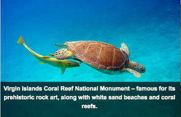 Áreas marinhas protegidas nos USA, imagem de tartarugas em áreas protegidas nos USA