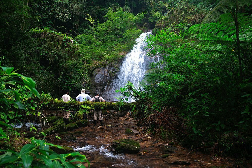 RPPN Salto Morato, Reserva Particular do Patrimônio Natural Salto Morato, image de cachoeira-com-mato-