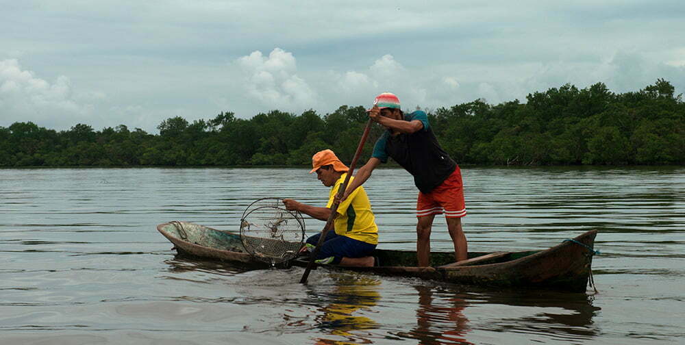 caneiros tirando-armadilha-de-siris-Área de Proteção Ambiental e Estação Ecológica de Guaraqueçaba