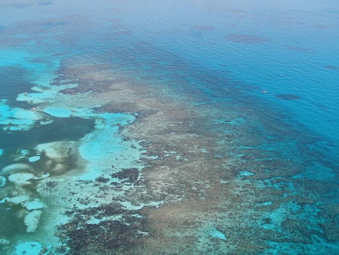 Fundo para o Meio Ambiente Mundial,imagem arrecife mesoamericano