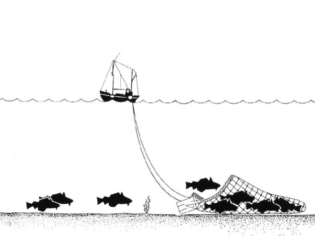 Portugal proíbe pesca de arrasto., ilustração de pesca de arrasto