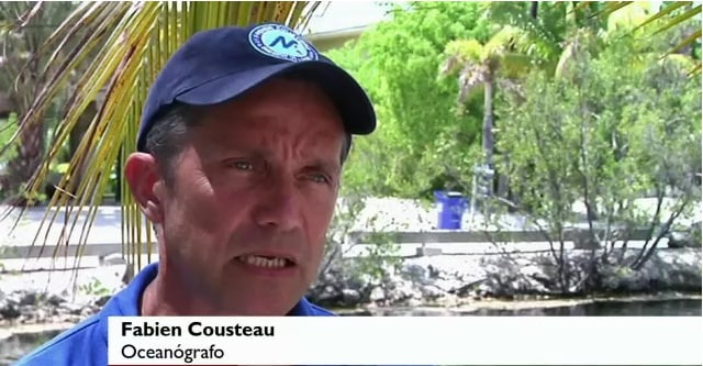 Neto de Jacques Cousteau quer bater recorde do avô, imagem neto de jacques cousteau
