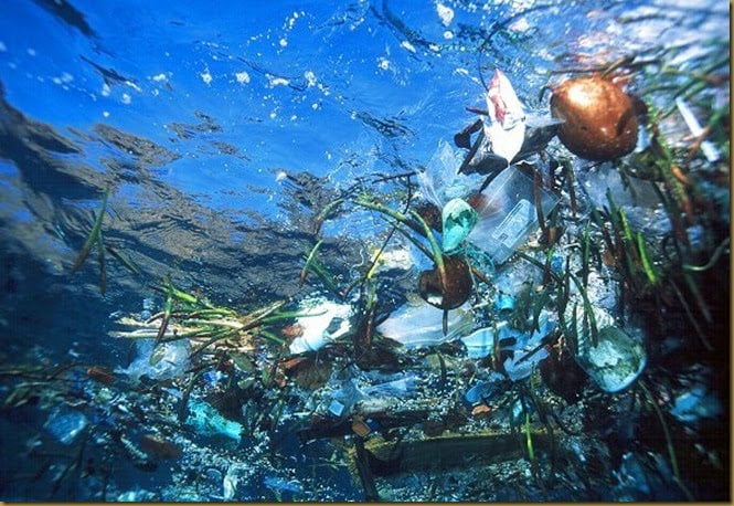 O caminho do plástico, imagem de plástico nos oceanos