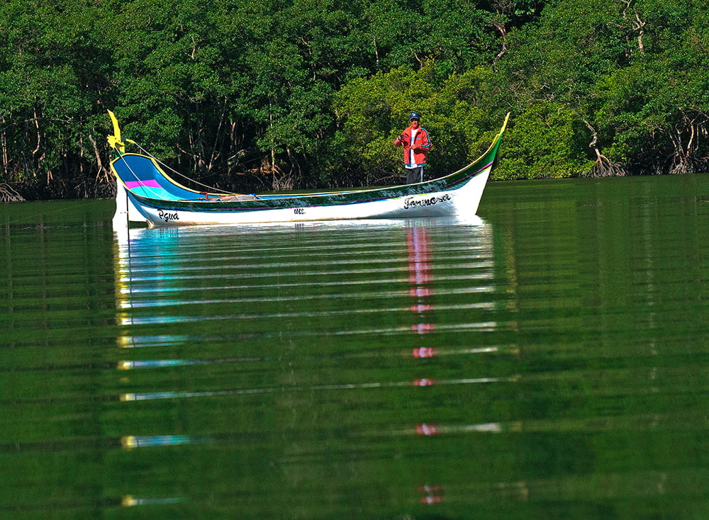 imagem de canoa de-bordadura no Parque Nacional do Superagui, Paraná