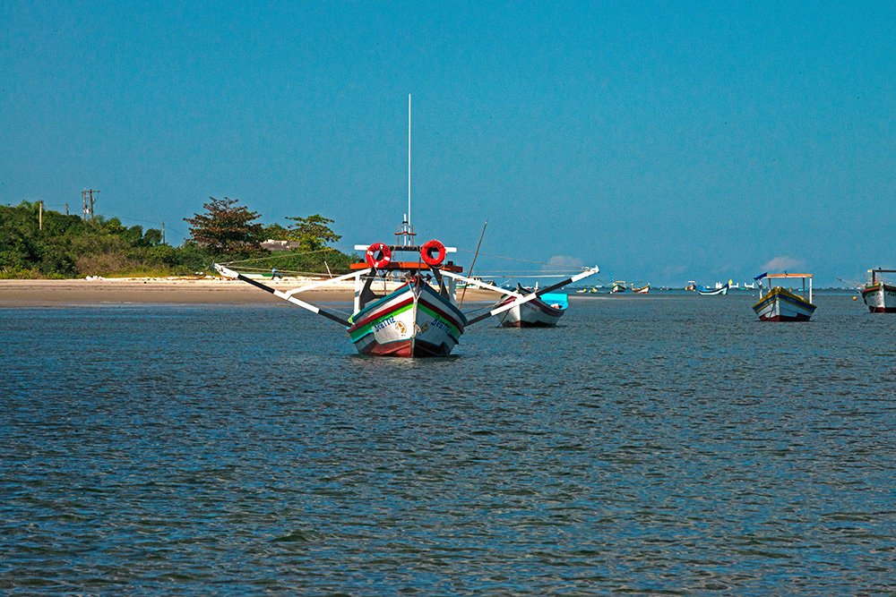  imagem de barcos pesqueiros em frente à Barra do Superagui