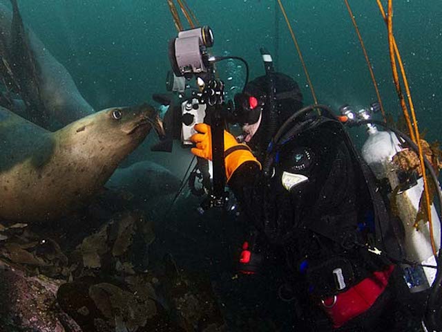 Selfies de animais marinhos, imagem Richard Salas