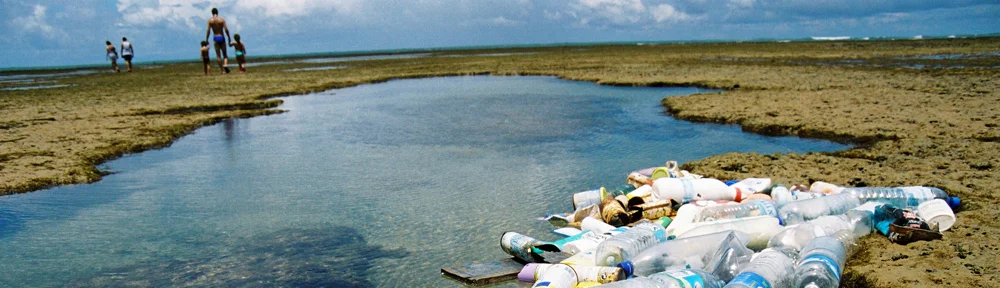 imagem associação brasileira de lixo marinho