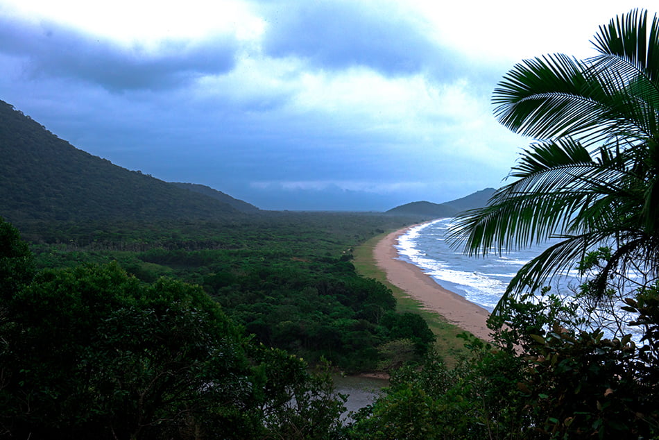  imagem da praia-e-restinga-rio-verde,Mosaico Juréia- Itatins.