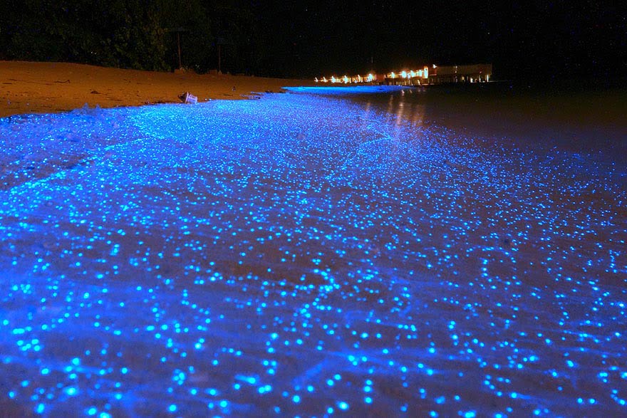 As praias mais diferentes do mundo, imagem de praia nas maldivas