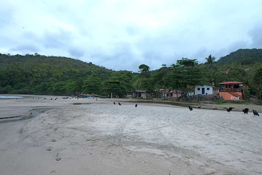 Parques Estaduais Ilhabela e ilha Anchieta, imagem de -praia-castelhanos