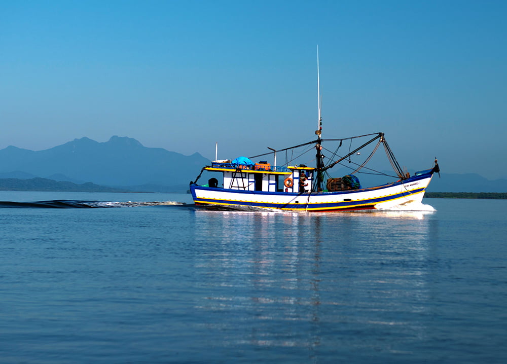 Recursos marinhos vivos: pesca, imagem de barco pesqueiro em Cananéia--