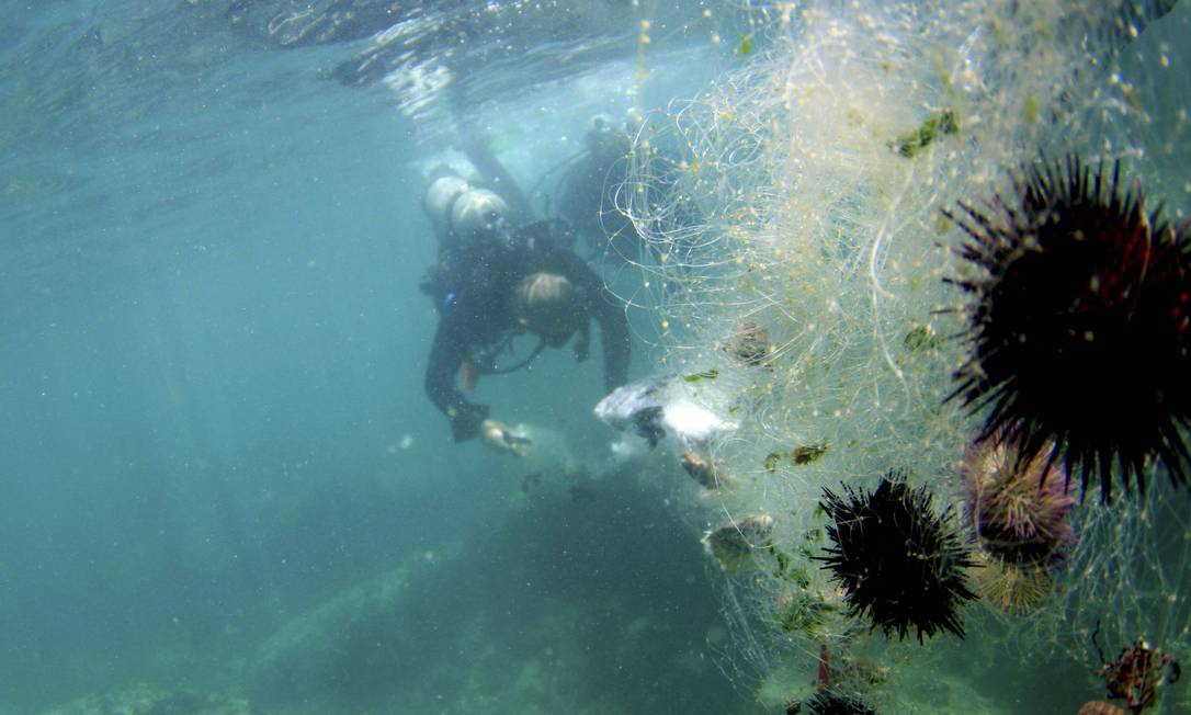 Mergulhadores limpam reserva marinha em Niterói, imagem de mergulhador limpam reserva de rede