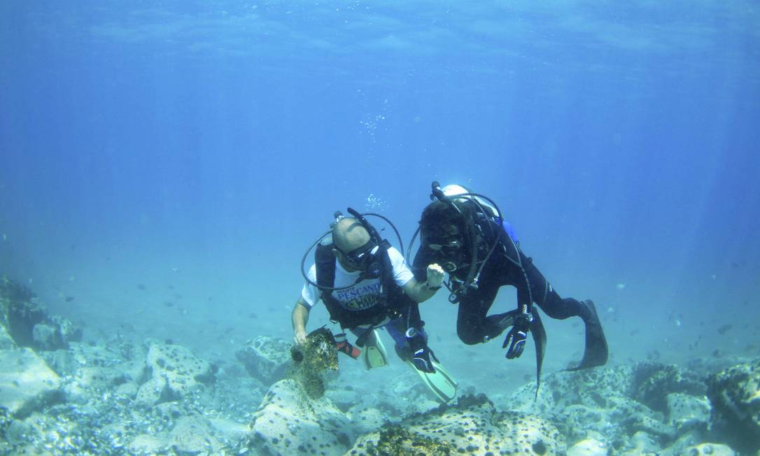 Mergulhadores limpam reserva marinha em Niterói, imagem de mergulhadores limpando lixo do mar