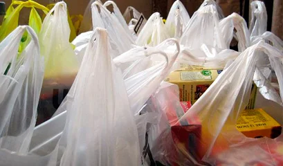 Sacolas plásticas estão proibidas, imagem de sacolas plásticas