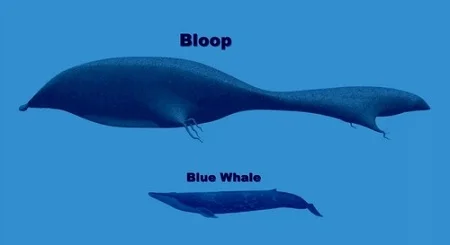 gigante dos mares, imagem de ilustração mostrando baleia