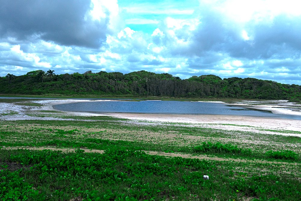 lagoa do Parque Nacional da Restinga de Jurubatiba