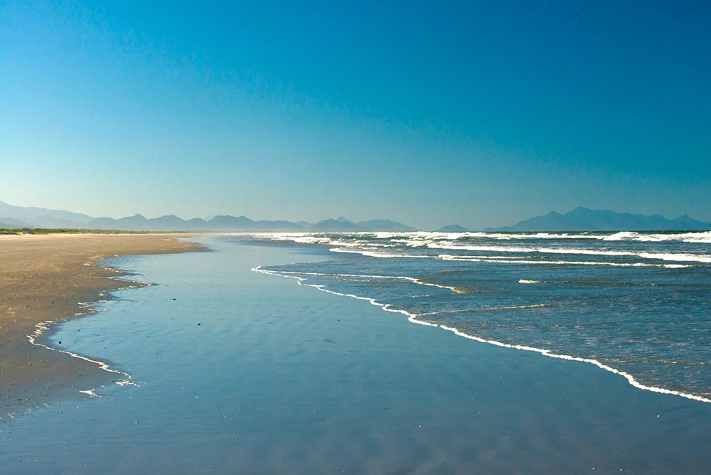 imagem da praia Deserta no Parna do Superagui 